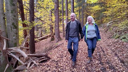 © ORF Ein Paar spaziert Händchen haltend auf einem Waldweg