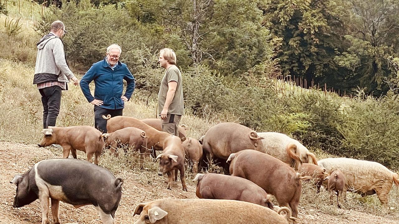 Slow food - Kulinarisches Erbe als Schatz der Zukunft: Dreharbeiten mit Lexer’s Mangalitza Schweinen (Kameramann Gerhard Lapan, Harald Krassnitzer, und Georg Lexer)