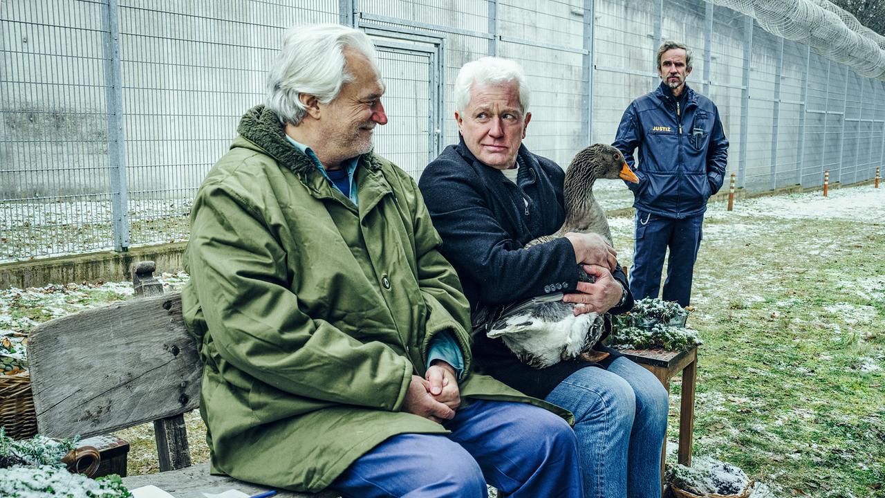 "Tatort - Das Wunderkind": Der stumme Insasse Andro Zoric (Emilio de Marchi, li.) und Kriminalhauptkommissar Ivo Batic (Miroslav Nemec, mi.) verstehen sich gut, während JVA Beamter Stefan Claussen (Felix Hellmann, re.) aufpasst.