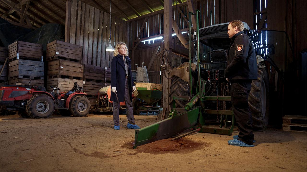 "Tatort: Letzte Ernte": Charlotte Lindholm (Maria Furtwängler) und Olaf Gehrke (Ole Fischer) untersuchen den Heuballenschneider, durch den Hofmitarbeiter Victor ums Leben gekommen ist.