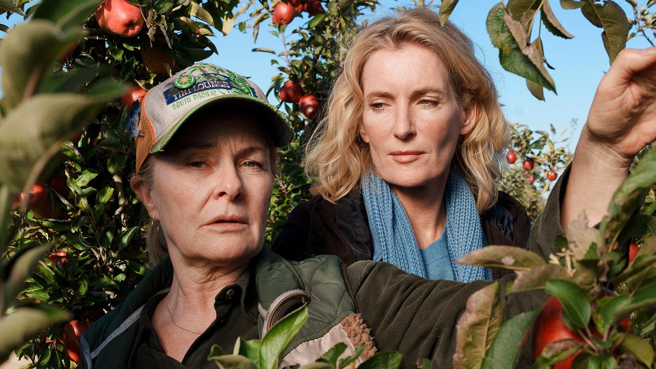 "Tatort: Letzte Ernte": Marlies Feldhusen (Lina Wendel) weist Charlotte (Maria Furtwängler) in die Apfelernte ein.