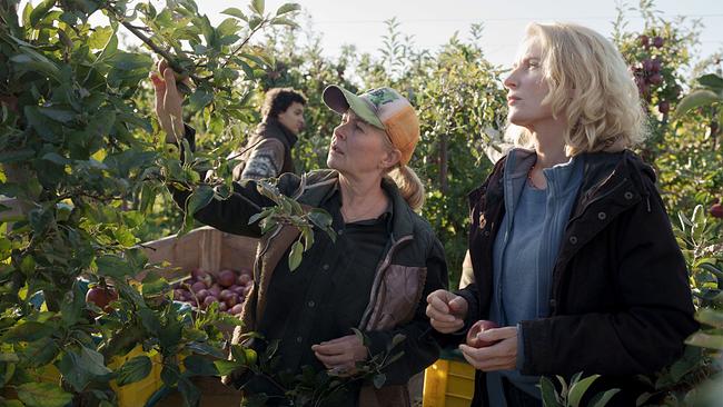 "Tatort: Letzte Ernte": Marlies Feldhusen (Lina Wendel) weist Charlotte (Maria Furtwängler) in die Apfelernte ein.