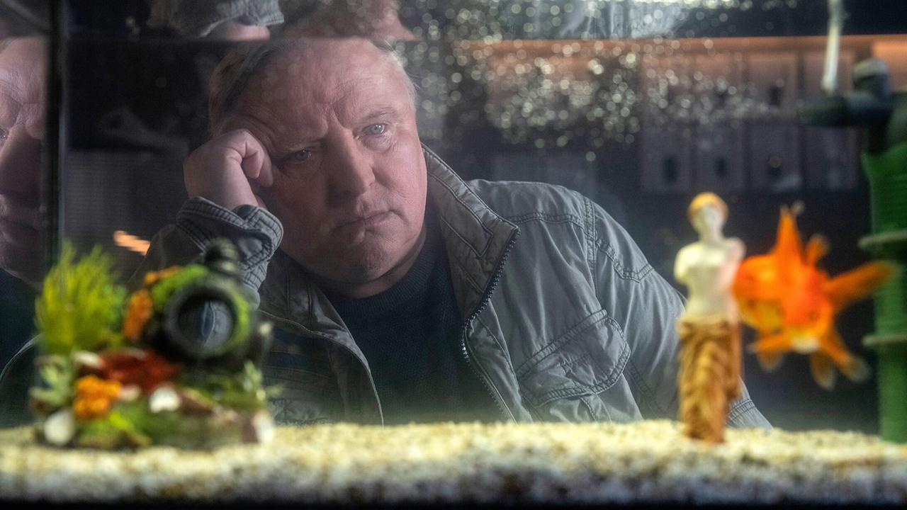 "Tatort: Ein Freund, ein guter Freund": Kommissar Frank Thiel (Axel Prahl) grübelt: Wer steckt hinter dem Mord an dem jungen Anwalt Nikolas Weber. Dessen Goldfische haben im Kommissariat ein neues Zuhause gefunden.