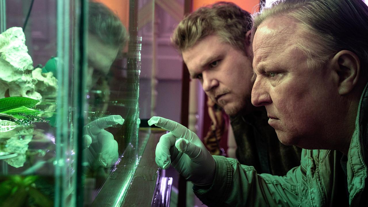 "Tatort: Ein Freund, ein guter Freund": Spurensicherung am Tatort. In der Kanzlei des ermordeten Rechtsanwalts erkennt Kommissar Frank Thiel (Axel Prahl) und sein Assistent Mirko Schrader (Björn Meyer, li.) dass auch das Aquarium in Mitleidenschaft gezogen wurde. Gute Nachricht: Die beiden Goldfische haben überlebt.