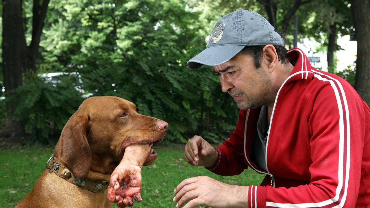 "Tatort: Falsch verpackt": Der Hund eines Passanten apportiert eine abgetrennte Hand.