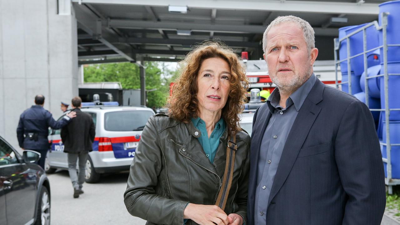 "Tatort: Gier": Bibi (Adele Neuhauser) und Moritz (Harald Krassnitzer) inspizieren den Unfallort.