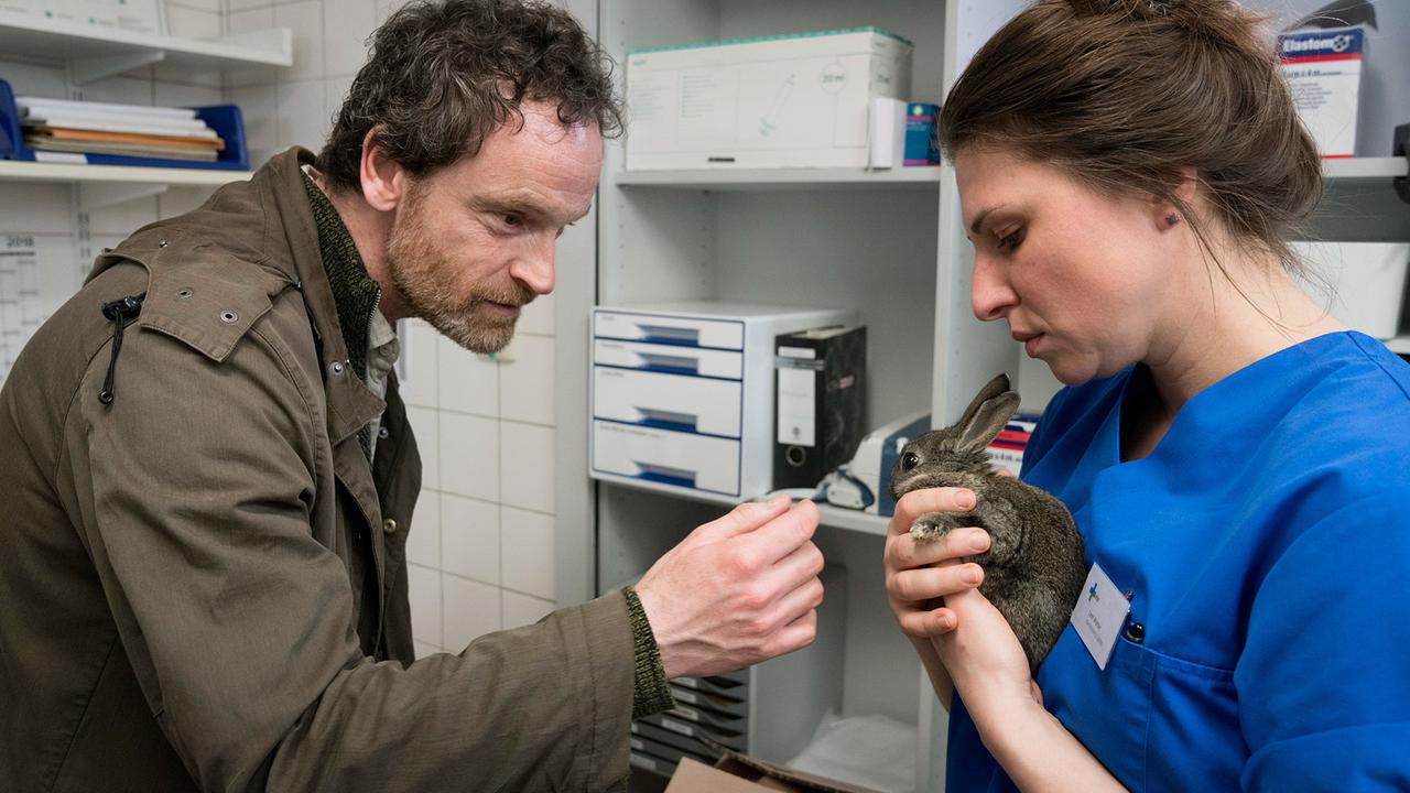 "Tatort: Inferno": Pflegerin Lexi Wolter (Lisa Jopt) hilft verletzten Tieren – das weckt das Interesse von Kommissar Peter Faber (Jörg Hartmann).