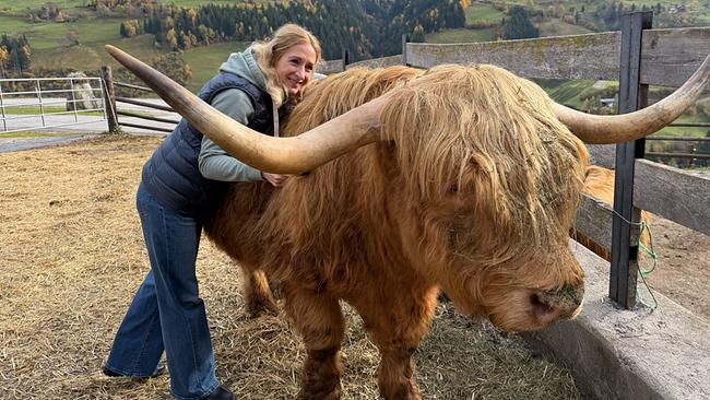  "Kuhkuscheln": Christine Höll  umarmt ein großes Hochlandrind Albert in einem eingezäunten Bereich vor einer hügeligen Landschaft.