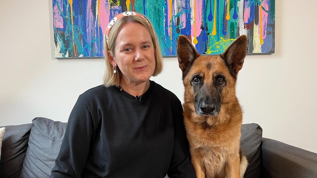© ORF/On-Media Tierische Augenblicke