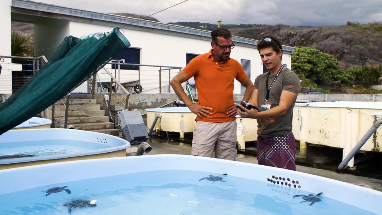 Karl Ploberger im Gespräch mit Mathieu Barret, stehend an einem Becken mit mehreren kleinen Meeresschildkröten, im Hintergrund ein Gebäude und eine Treppe