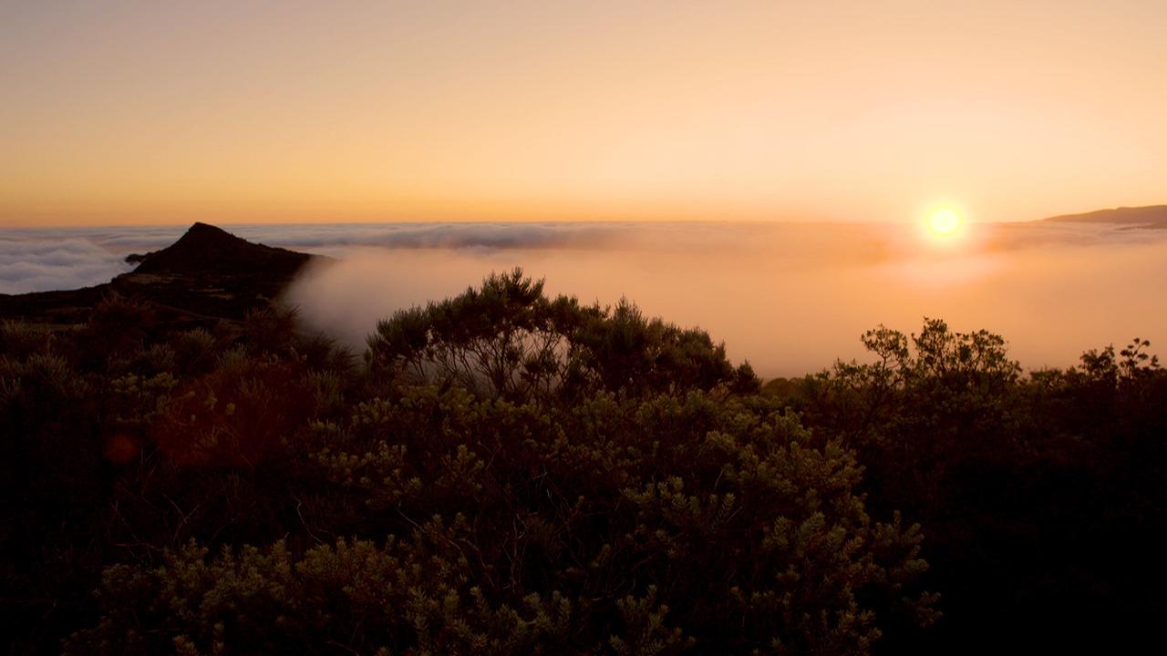 Sonnenuntergang über dem "Piton de la Fournaise" mit Nebel und dunklen Pflanzen im Vordergrund