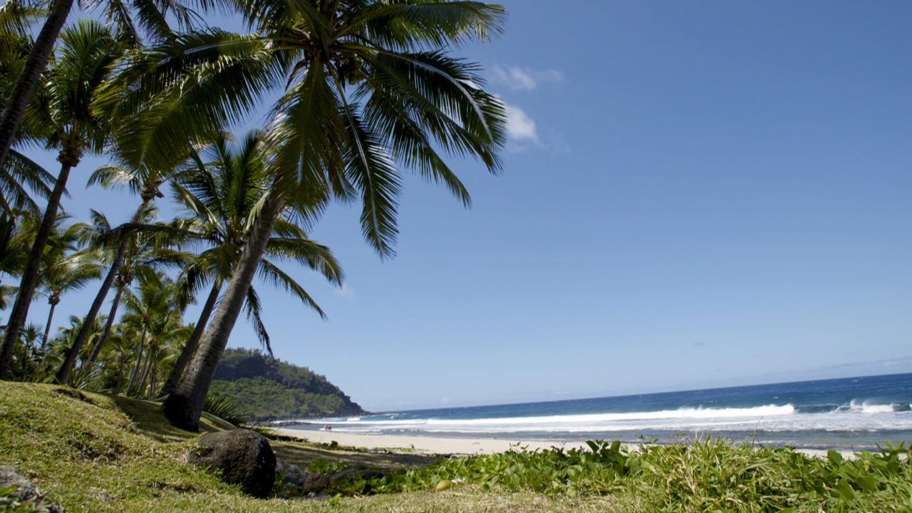 Strand mit mehreren Palmen, grünem Gras im Vordergrund und blauem Meer mit Wellen unter klarem Himmel