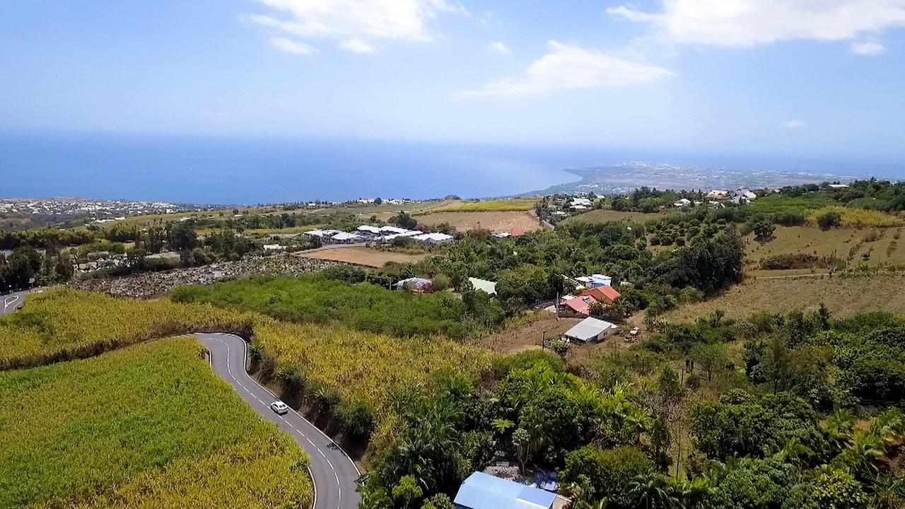 Landschaft mit Straße, Feldern, mehreren Gebäuden und Blick auf das Meer bei La Réunion.