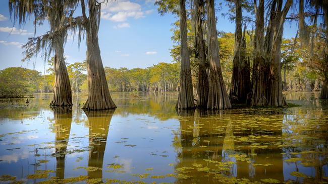 Traumrouten der USA - Durch Louisiana entlang des Mississippi