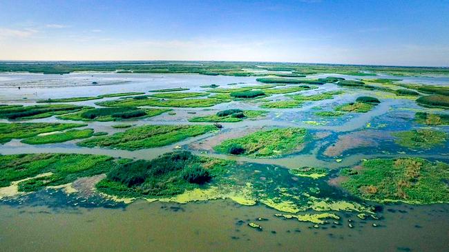 Traumrouten der USA - Durch Louisiana entlang des Mississippi