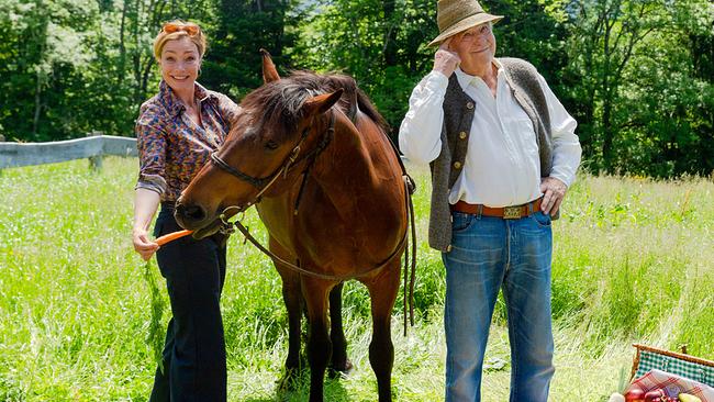 Barthl und Sophie stehen zusammen auf der Pferdeweide.