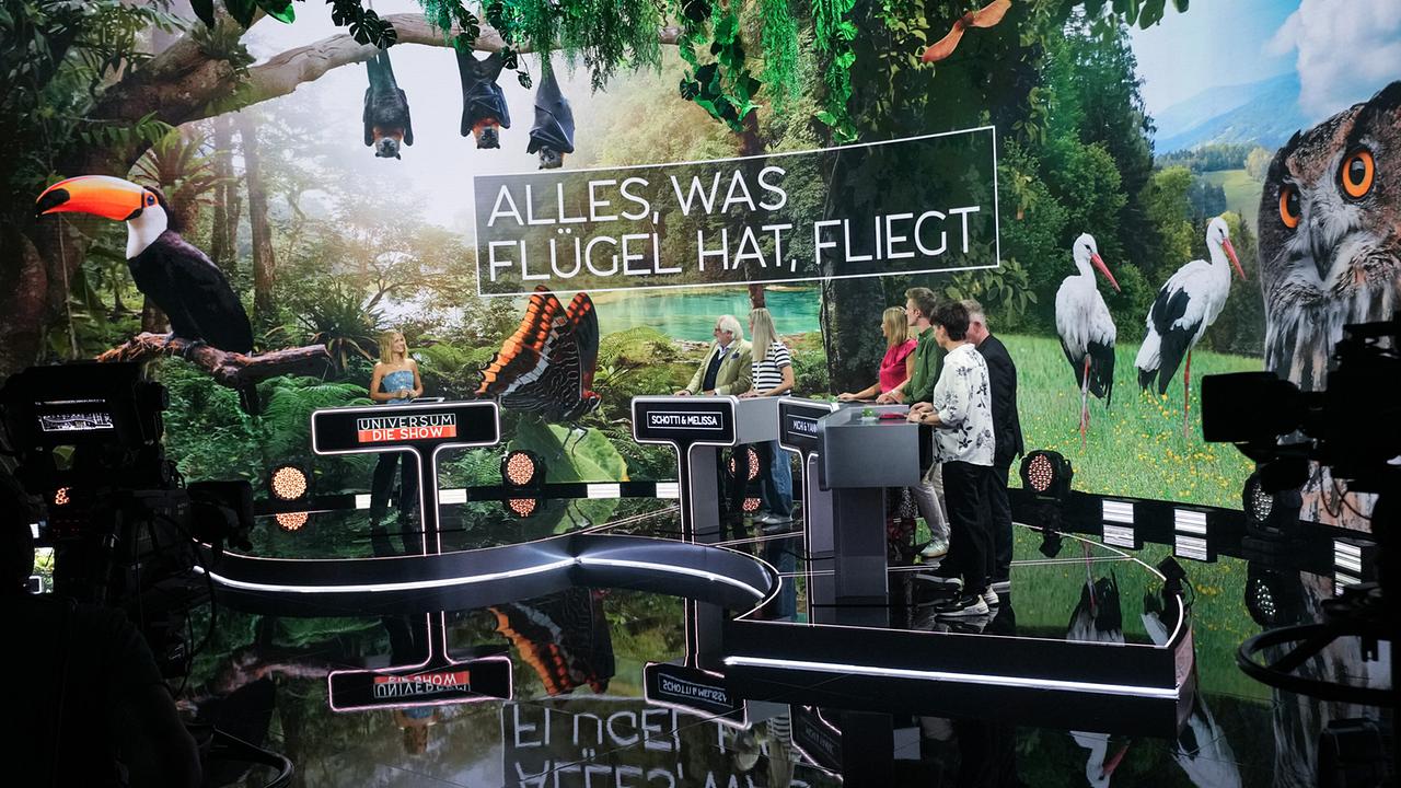 Spielszene bei "Universum - Die Show" mit Mirjam Weichselbraun, Michael Schottenberg, Melissa Witschnig, Michi Kirchgasser, Yannik Lamprecht, Cornelius Obonya und Kathrin Batko im TV‑Studio an den Pulten, während im Hintergrund eine große Naturprojektion mit dem Schriftzug „Alles, was Flügel hat, fliegt“ gezeigt wird.