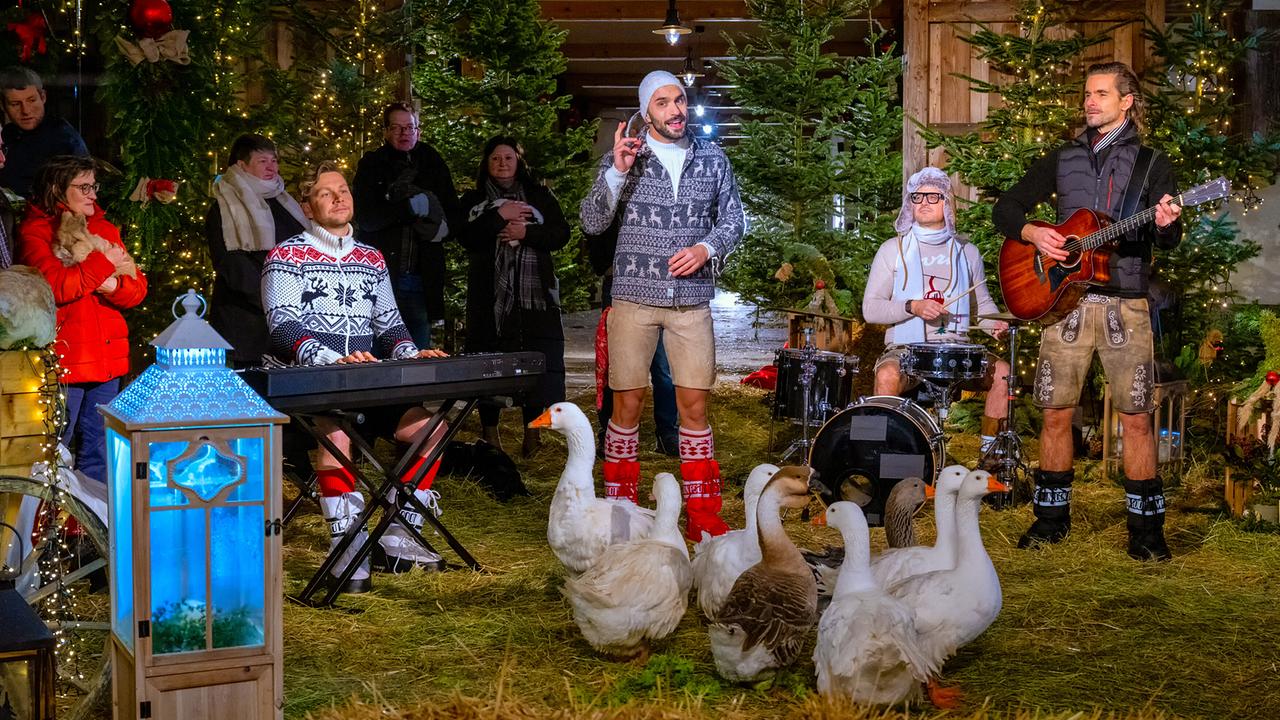 Die Mountain Crew spielt zwischen Tannenbäumen und Gänsen in einer festlich beleuchteten Umgebung.