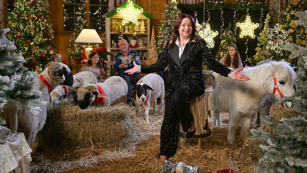 Sassy in einem schwarzen Glitzeranzug sitzt inmitten von Schafen und einem weißen Pony in einer reich geschmückten Weihnachtskulisse.
