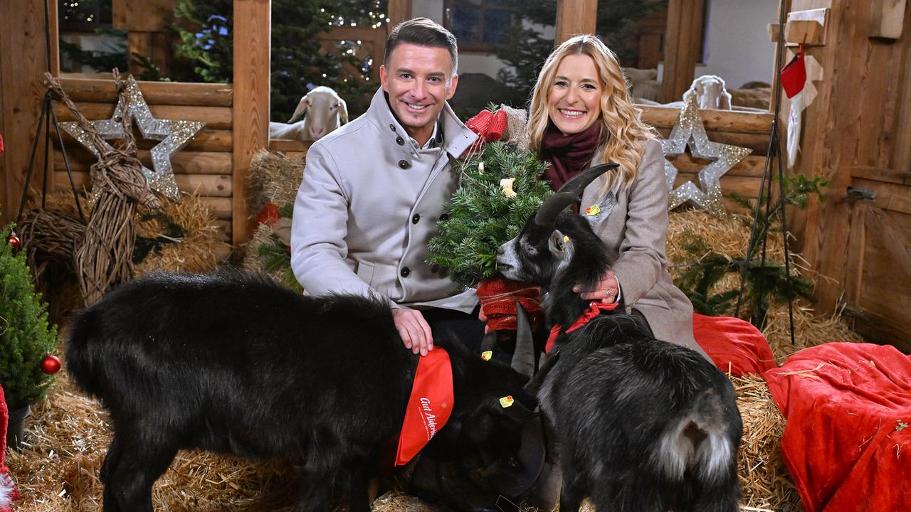 Stefanie Hertel und Marco Ventre siten in einer rustikalen, weihnachtlich dekorierten Stallkulisse und sind von zwei schwarzen Ziegen umgeben.