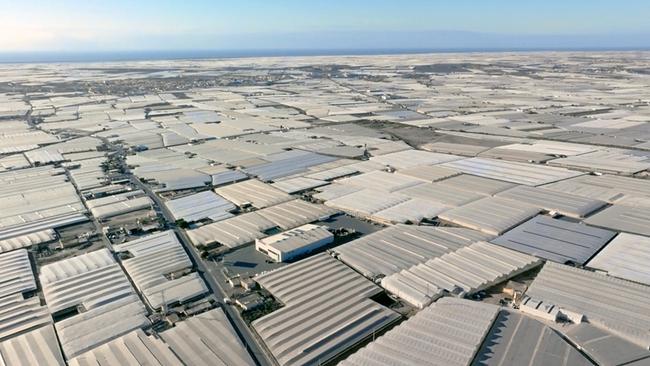 Plastikplanen soweit das Auge reicht: Gewächshäuser in Almería