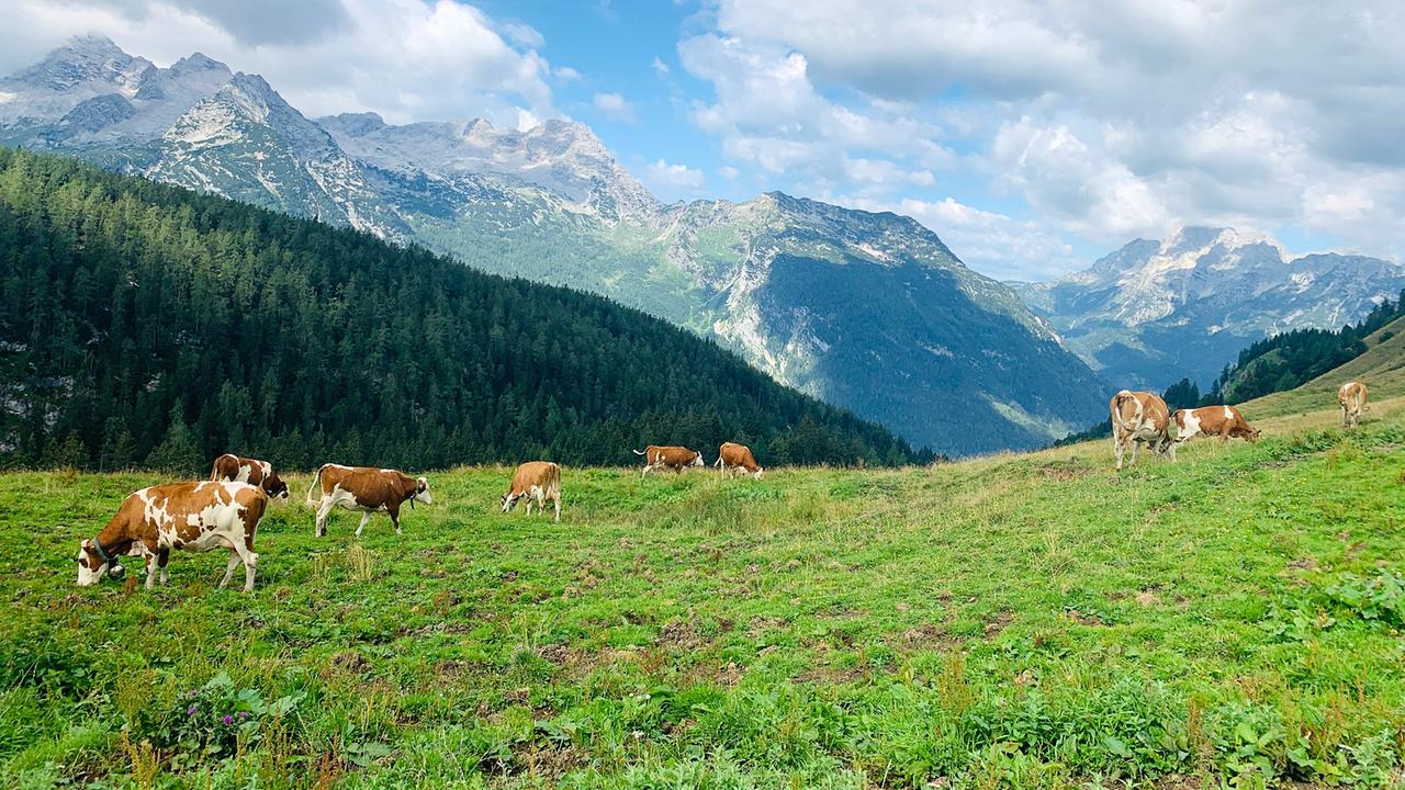 Naturpark Weißbach