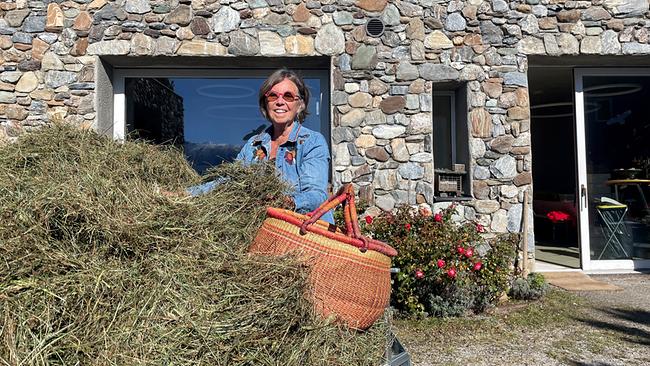 Vierzig Jahre forschte Renée Schröder als Biochemikerin, in der Pension entdeckt die heute 70-jährige eine neue Leidenschaft: Wildkräuter und ihre Wirkung