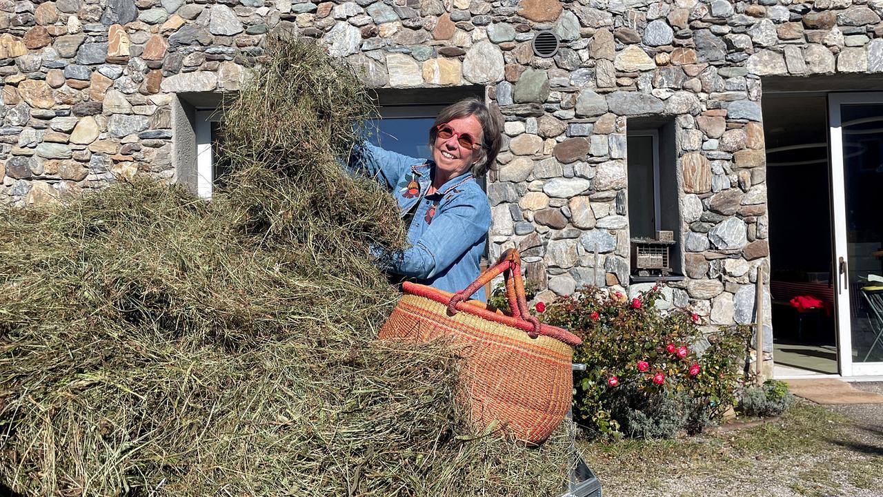 Vierzig Jahre forschte Renée Schröder als Biochemikerin, in der Pension entdeckt die heute 70-jährige eine neue Leidenschaft: Wildkräuter und ihre Wirkung