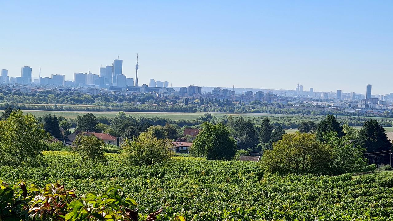 Aussicht vom Bisamberg auf Wien