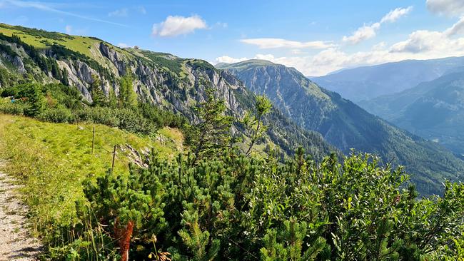 Mürzer Oberland, Schneealpe