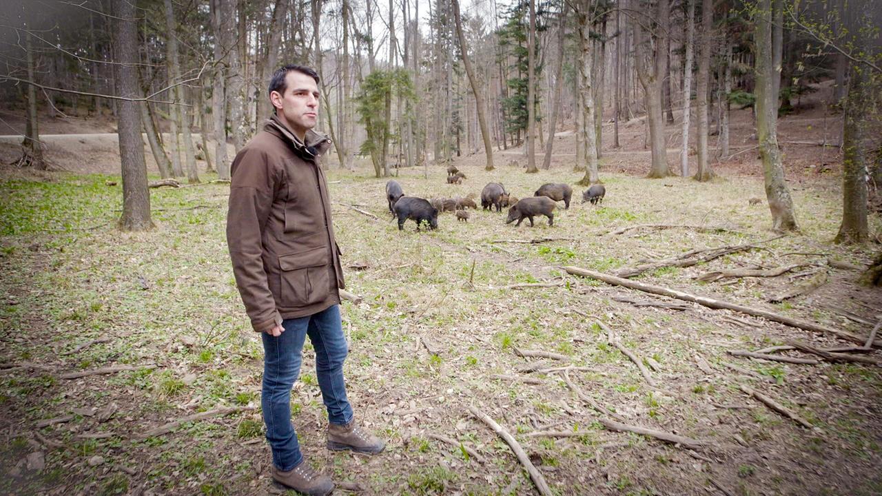 © ORF/Ab Hof TV Produktion Thomas Rupp, Förster; Naturpark Sparbach