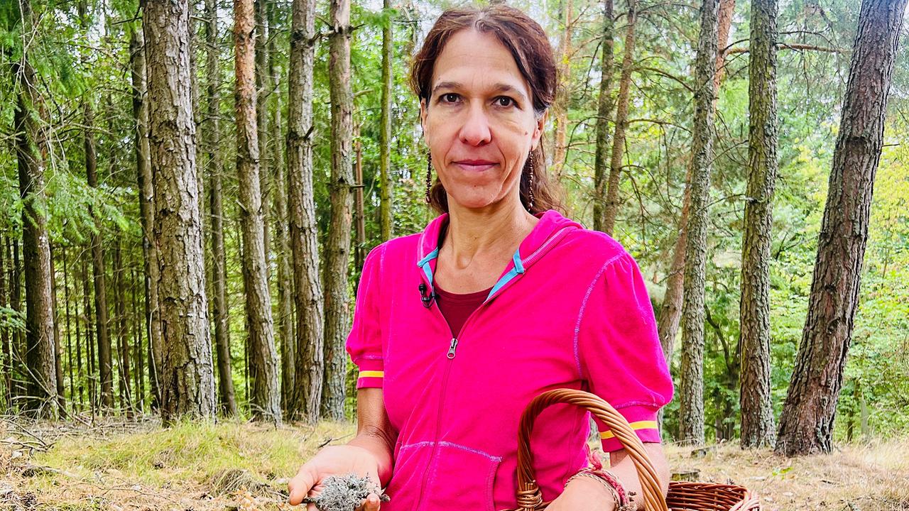 Wildkräuter-Pädagogin Elke Wallner-Zeinzinger mit Flechtenmoos und Weidenkorb beim Sammeln im Dunkelsteinerwald.