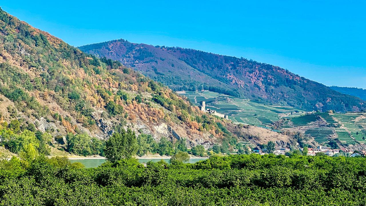 Bewaldete Hügel des Dunkelsteinerwalds mit Weingärten und Donau unter blauem Himmel in Niederösterreich.