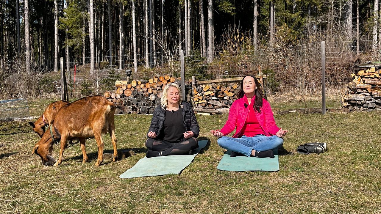 Christina Goritschnig und Maggie Entenfellner sitzen im Schneidersitz auf Yogamatten im Freien in Meditationshaltung, Ziegen stehen daneben.