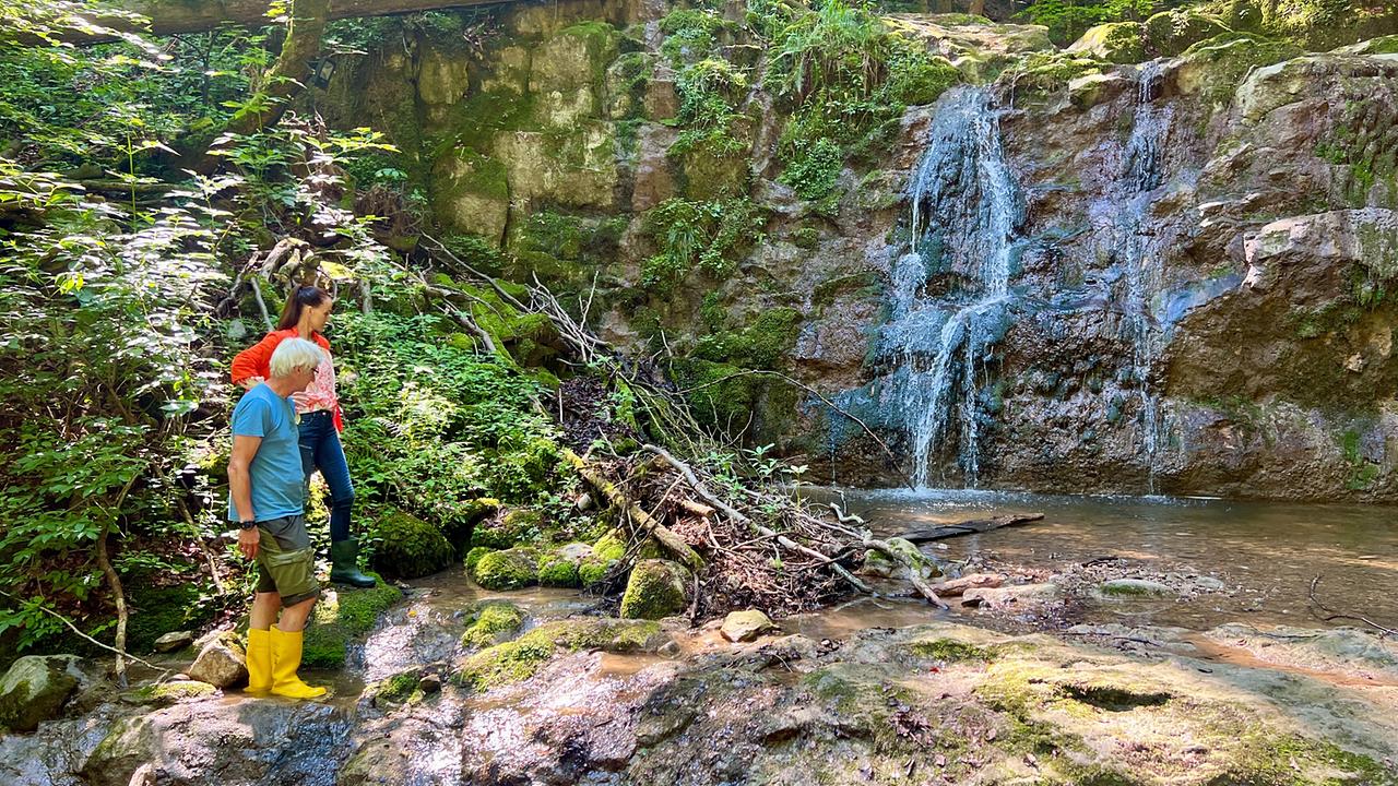 Maggie Entenfellner und Paul Herbst stehen auf Moossteinen im Wald und blicken auf einen Wasserfall.