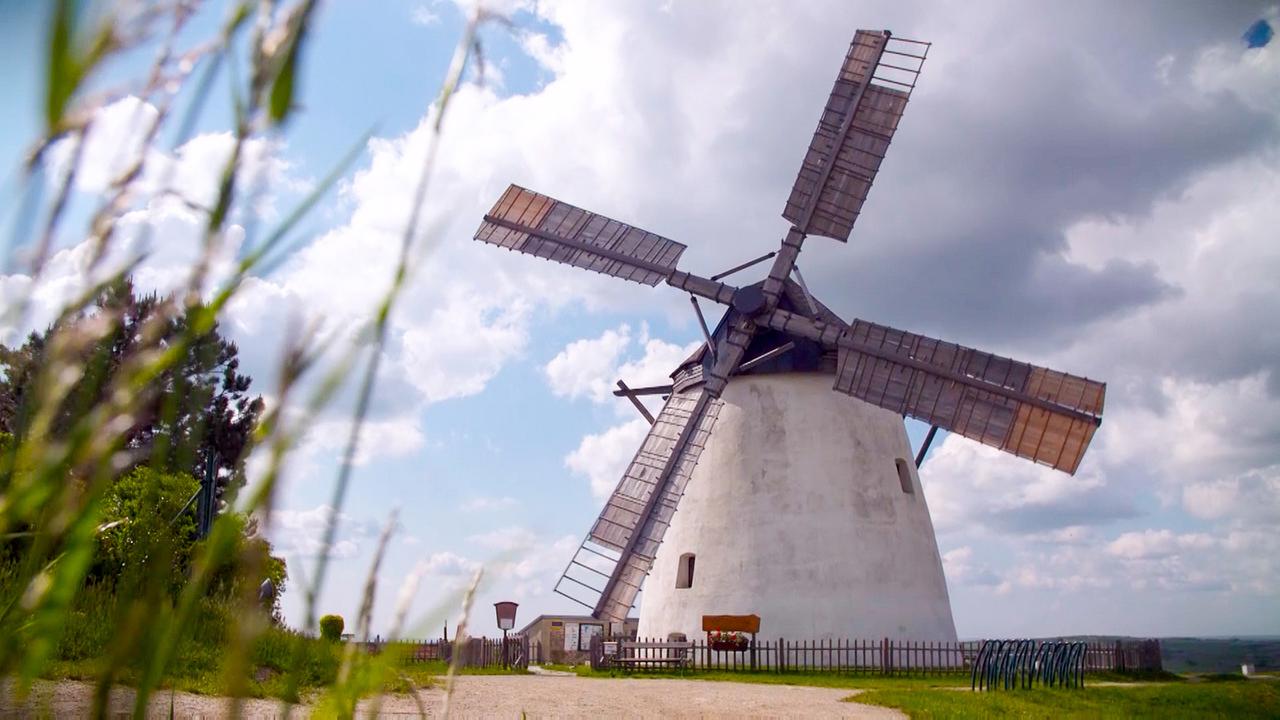 © ORF/Ab Hof Film Retzer Windmühle.