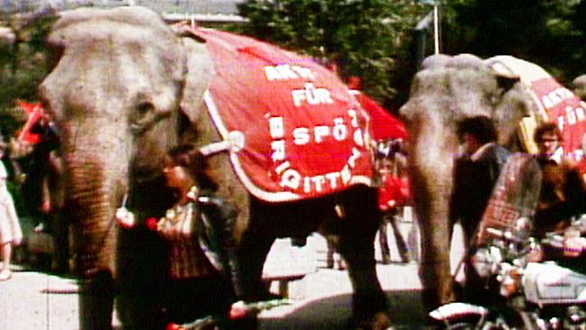 Elefanten am 1. Mai. 1971.