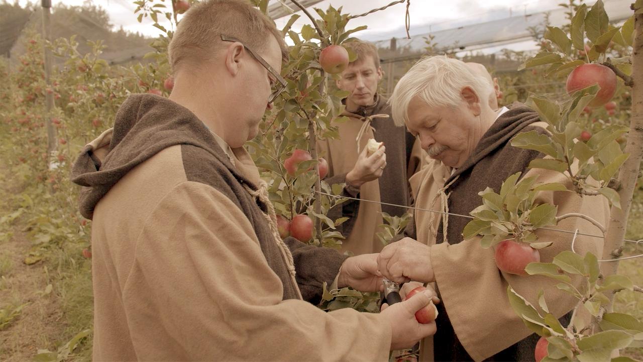 © ORF/Neulandfilm Die Apfelmänner suchen sich nur die besten Exemplare aus