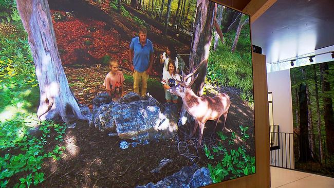 © ORF/Clever Contents Karl Hohenlohe mit Kindern im Wald.