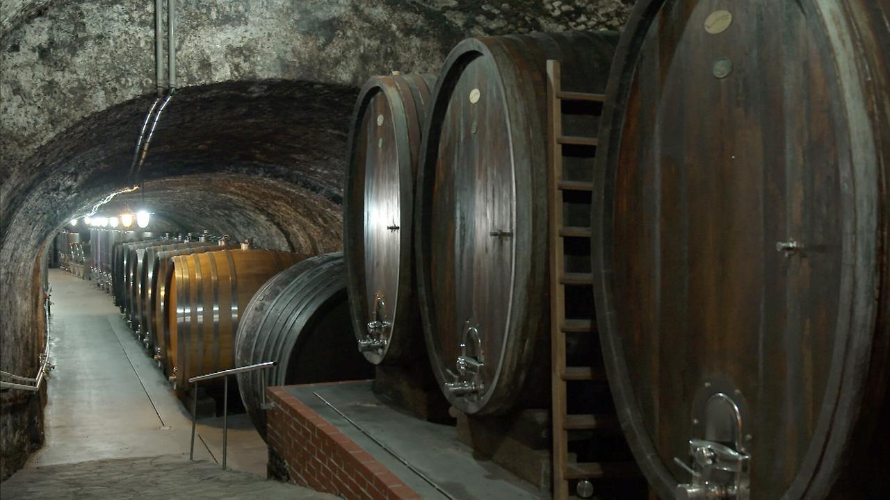 Im Weinkeller, der Domäne der Wachau.