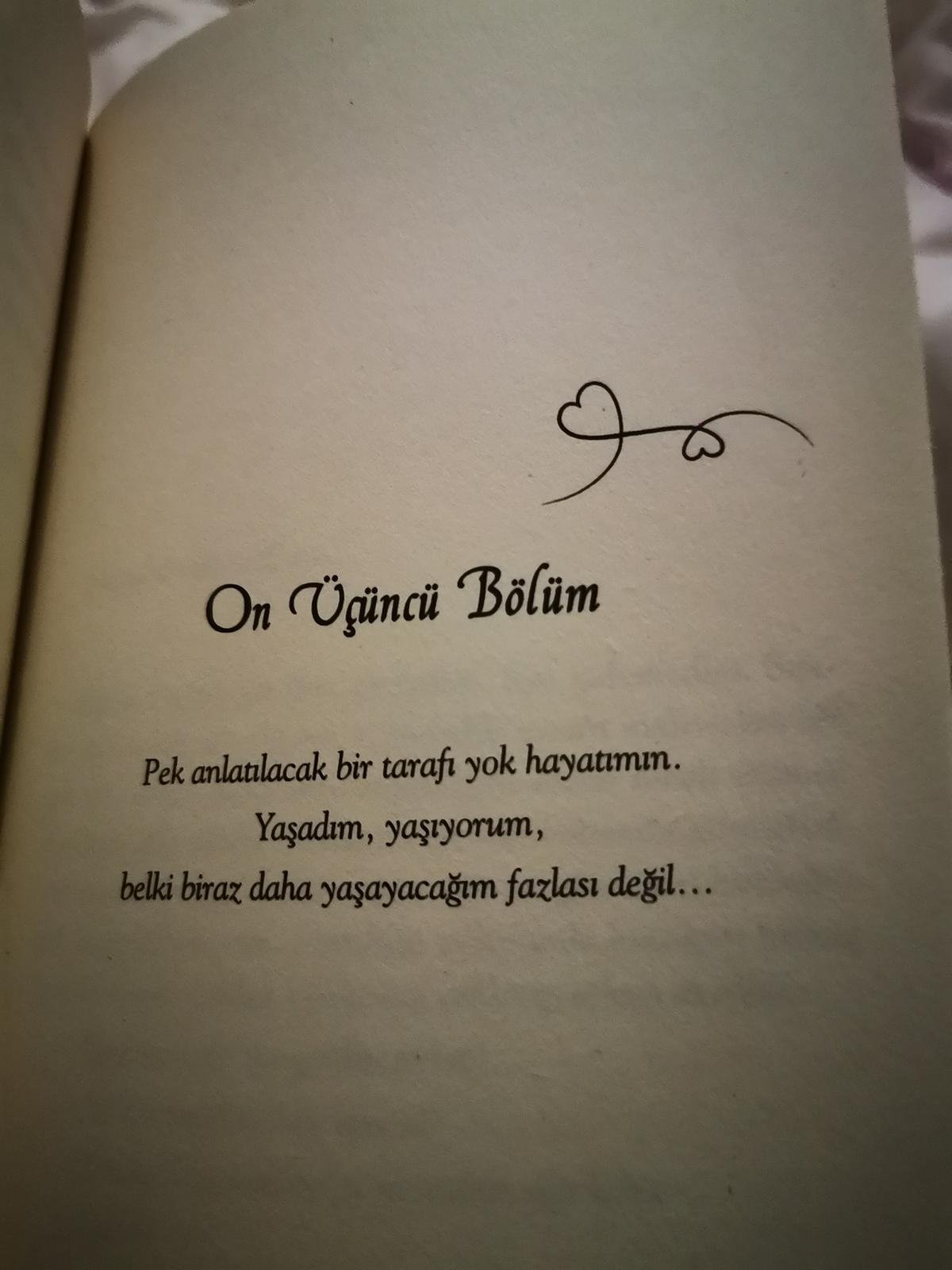 Eine Buchseite mit türkischem Text: On Ücüncü Bölüm, pek anlatilacak bir tarafi yok hayatimm. Yasadim, yaiyorum, belki biraz daha yasayacagim fazlasi degil. 