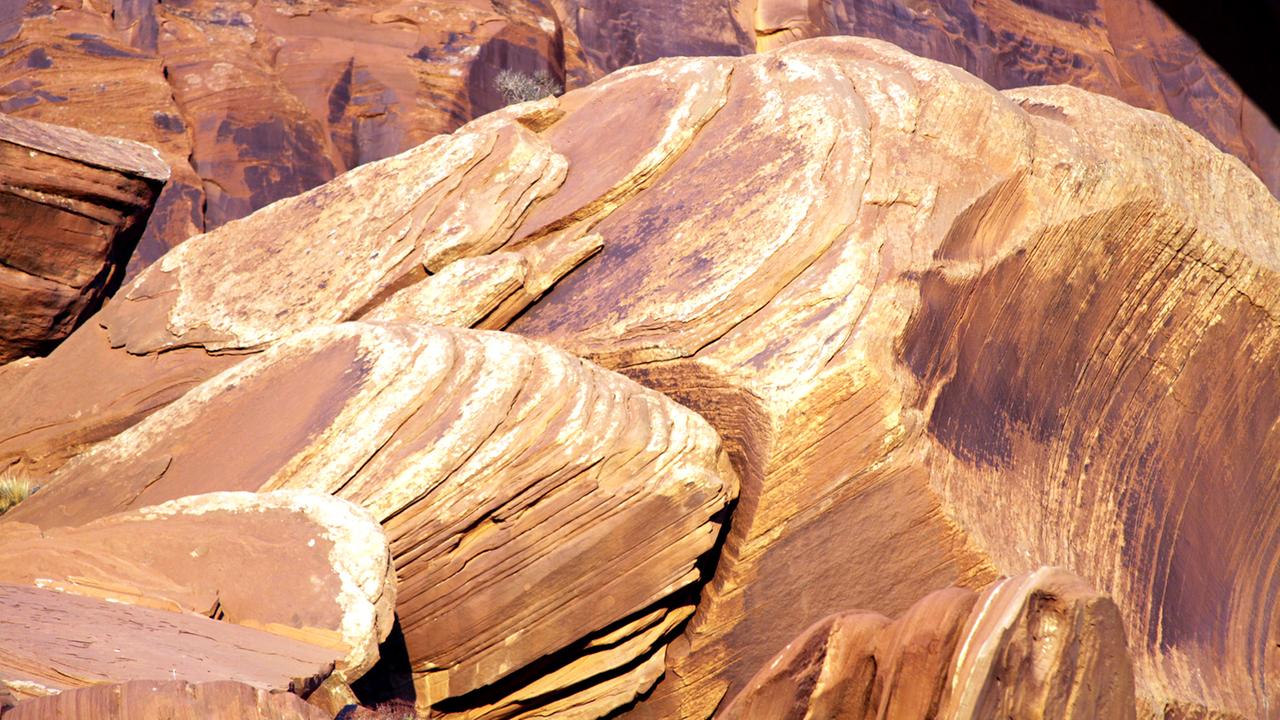 Die Farben der Wüsten: Das rote Colorado Plateau; Im Bild: Gepresste rote Sanddünen auf dem Colorado Plateau in Utah.