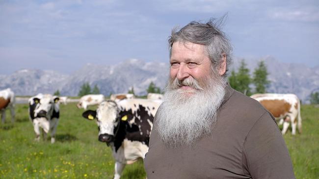Almbauer Willi Jansenberger steht auf einer Wiese. Im Hintergrund Kühe.