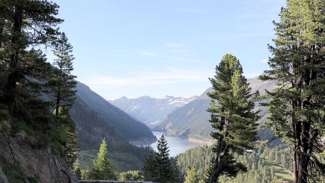 Kaunertal Panorama. Zu sehen ist ein See zwischen Bergen, im Vordergrund links und rechts Nadelbäume.