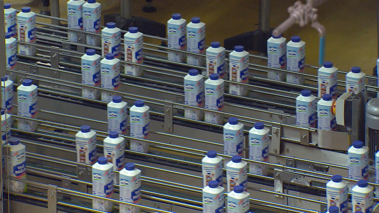 © ORF/Pammer Film Milchproduktion