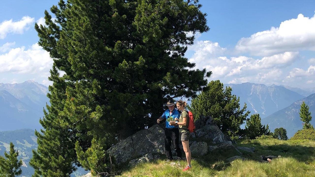 Sepp Reinstadler und Marlies Raich stehen auf einem Berg neben einem Baum.