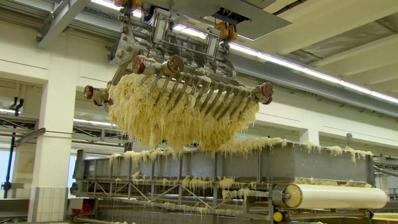 Sauerkraut in der Produktion