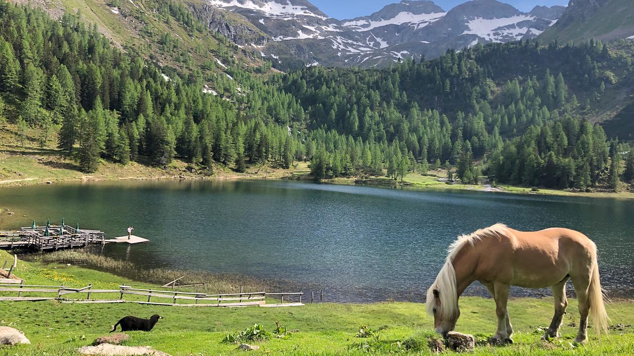 © ORF/Pammer Film Duisitzkarsee