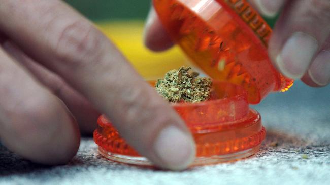Es geht um Menschen mit Krebs, Parkinson, Multipler Sklerose, HIV, Tourette, Epilepsie oder chronischen Schmerzen. Warum wird hier mit Cannabis behandelt?
