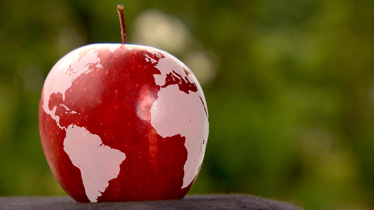 Apfel mit Weltkarte